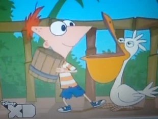 フィニアスはペリカンの足を踏むように左足を使用しています04.jpg (134キロバイト)