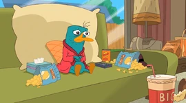 Perry watch the opera