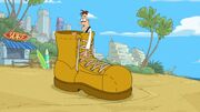 "Hey! Check it out! An aglet!"