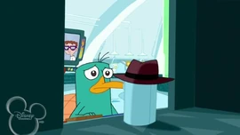 Imagem do Mês de Maio