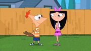 Isabella e Phineas no quintal