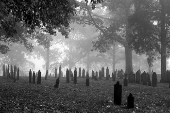 Cemetery.jpg