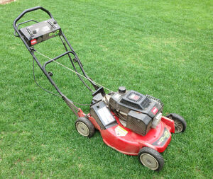 Lawn mower.jpg