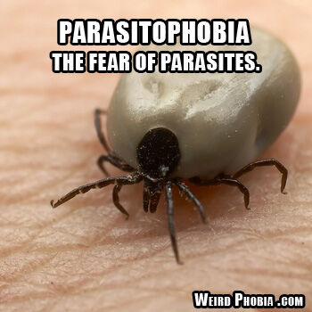 Parasitophobia.jpg
