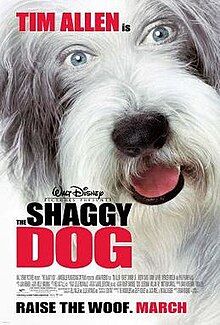 Shaggydog.jpeg