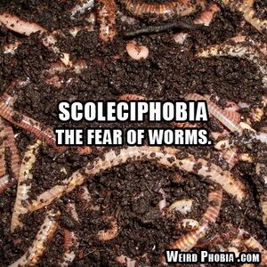Scoleciphobia (So-leh-kee-pho-be-ah) is also known by other names like Vermiphobia and Helminthophobia. They all mean the persistent and irrational fear of worms. The word Scoleciphobia originates from Greek Scoleci meaning parasitic worms and phobos meaning deep dread or aversion. Helminthophobia is the secondary fear of one’s body being infested or attacked by worms (Helmintho is another Greek word for worms