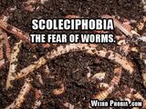 Scoleciphobia