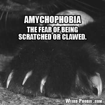 Amychophobia.jpg