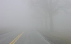 Fog.jpg