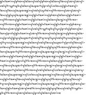 Longest Words.jpg