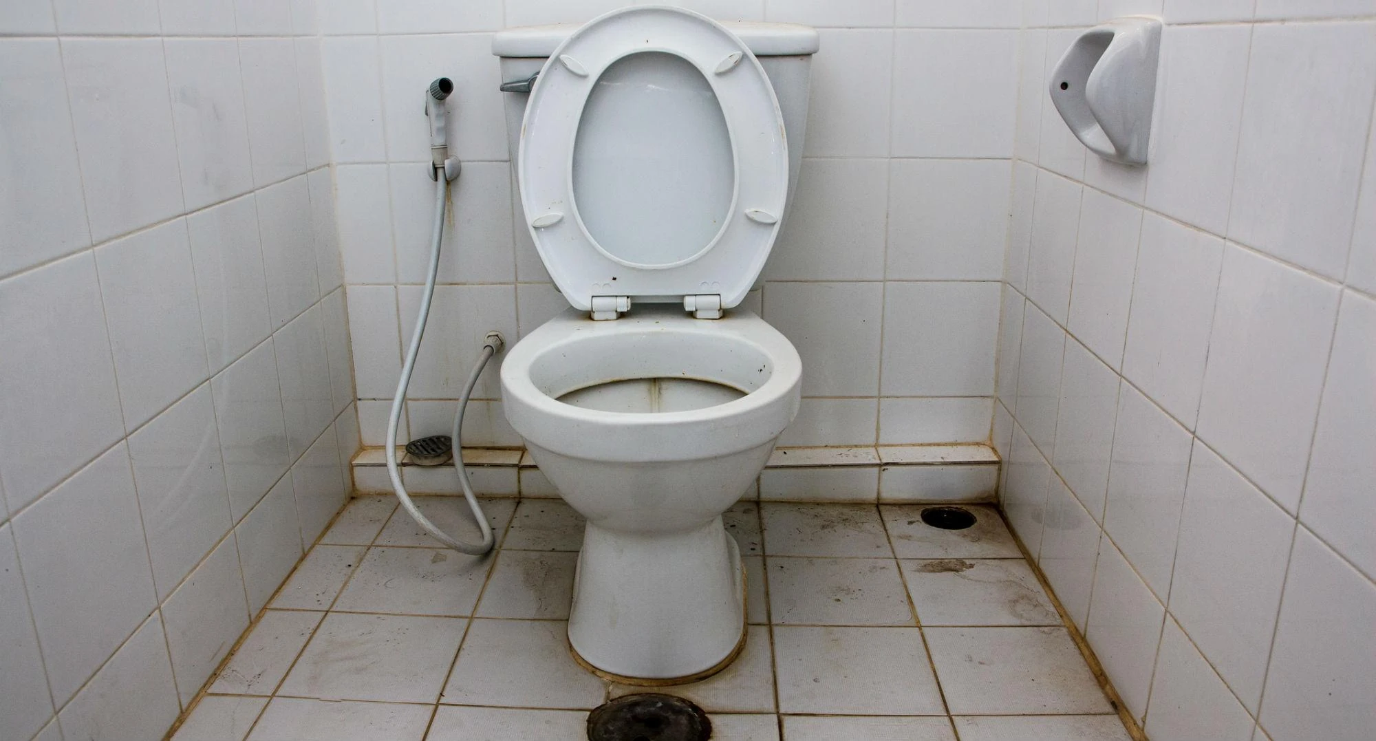 Биотуалет большой. Унитаз. Living toilets. Японский туалет. Унитаз.