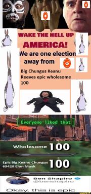 Cf3eb172c7123af3344e9164353d091efd0aad6f97cb9097a14f057dc9049e46 1.jpg