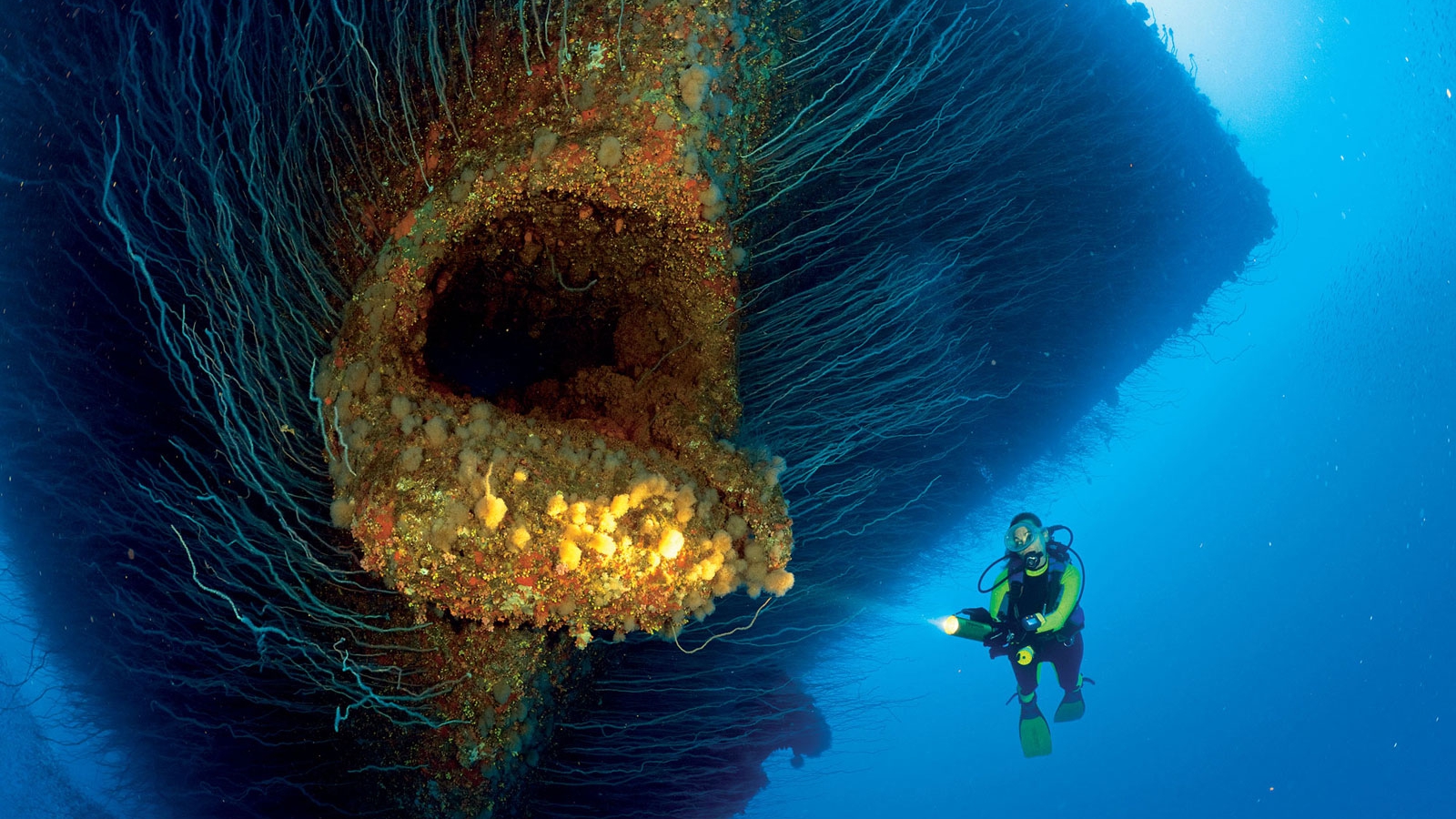 submerge phobia submerge phobia