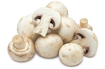 Mushroom.jpg