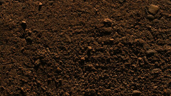 Dirt.jpg