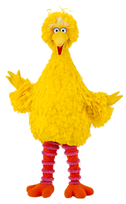 Big Bird.png