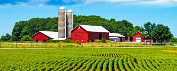 Farm.jpg