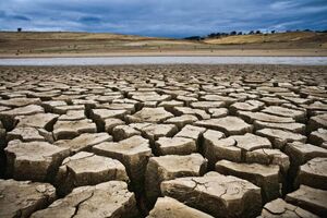 Drought.jpg