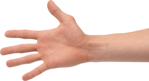 Hands.png