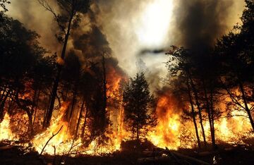 Wildfires.jpg
