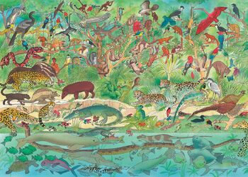 Rainforest Animals Illustration