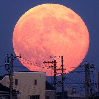 Moonoon.jpg
