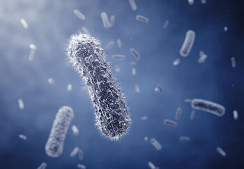 Bacteria2