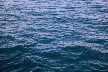 Water.jpg