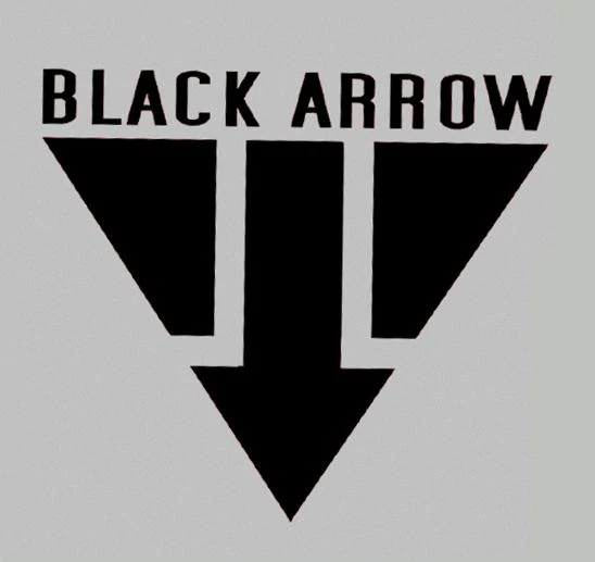 Black Arrow | Phoenix Fall: Division Fan-Fiction Universe Wiki | Fandom