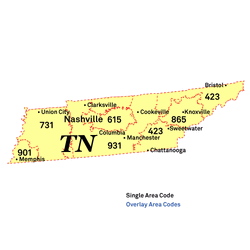 TN.gif