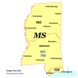 MS.gif