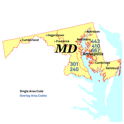MD.gif