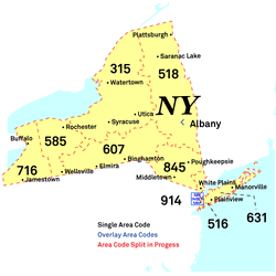 NY.gif