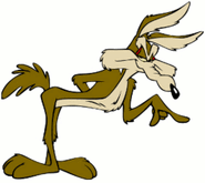 Wile (1)