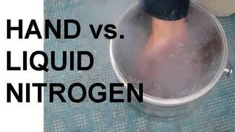 Hand_vs._Liquid_Nitrogen_and_the_Leidenfrost_Effect