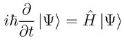 Schrodinger Wave Function