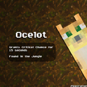 Ocelot info.png