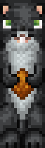 Squirrel Dusk.png