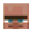 Villager