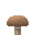 Brown Mushroom