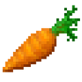 Carrot