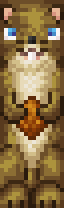 Squirrel Dawn.png