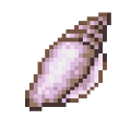 Seashell