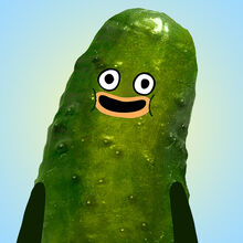 Pickle