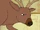 The Deer