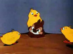 Drole De Poussin Picsou Wiki Fandom Drole De Poussin Picsou Wiki Fandom