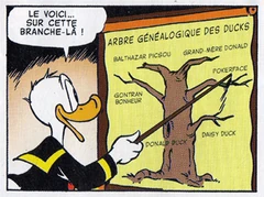 L'arbre généalogique.