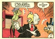 Le perroquet de Surpouf.