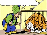 Le tigre avec ses rhumatismes.
