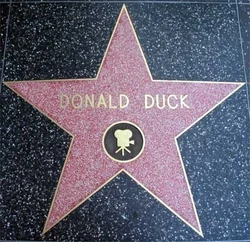 L'étoile de Donald Duck sur le Walk of Fame, à Hollywood.